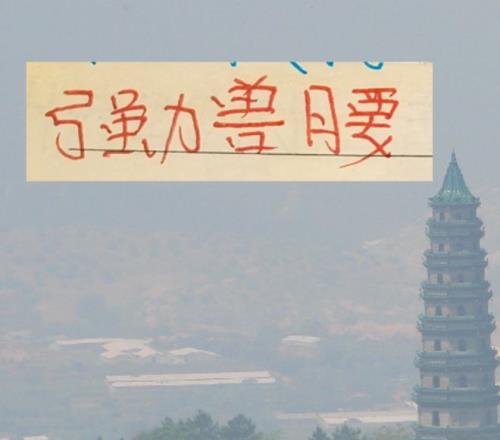 亚冬会菲泰,台三地创佳,谱写新辉煌,半岛,BanDao,半岛官网,半岛体育官网,半岛体育下载,半岛APP